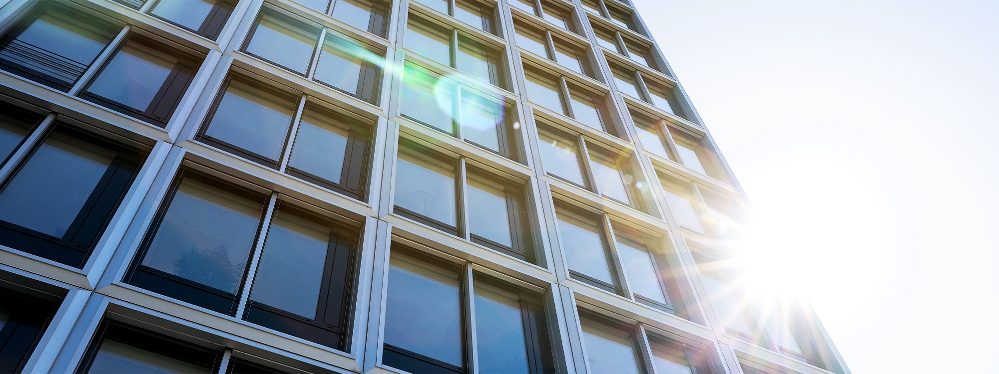 WIE-Partner Startseite Header Desktop